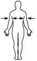 sc-5 sb-2-Anatomical Positions-Body Planesimg_no 119.jpg
